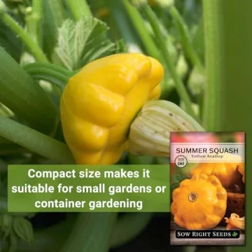Sow Right Seeds Yellow Scallop Squash Seeds - Tasty