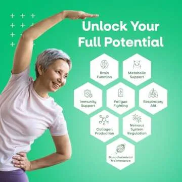 VEGETOLOGY Vegan Multivitamin Supplement for All Ages