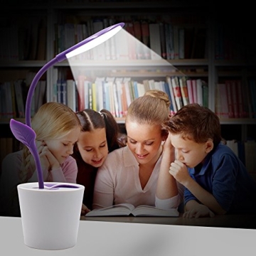 LED Desk Table Lamp with Rechargeable USB Cable,Reading Night Light for Kids, Flexible Neck, 3 Level...