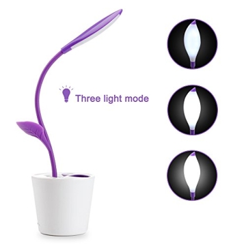 Dimmable LED Desk Table Lamp with USB Rechargeable Functionality