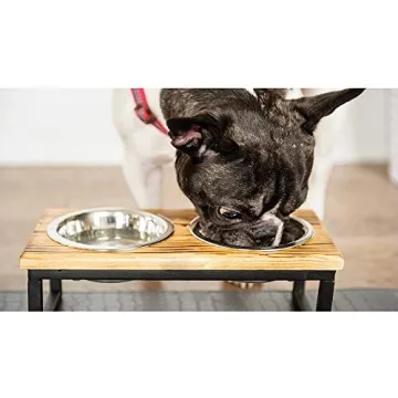 GF Pet Wood & Metal Feeder: Elevated Bowls for Pets