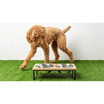GF Pet Wood & Metal Feeder: Elevated Bowls for Pets