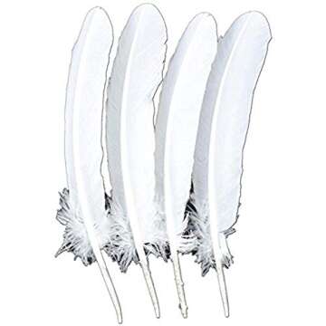 Touch of Nature 4-Piece Turkey Feather for Art and Craft, 12.25 to 13-Inch, White
