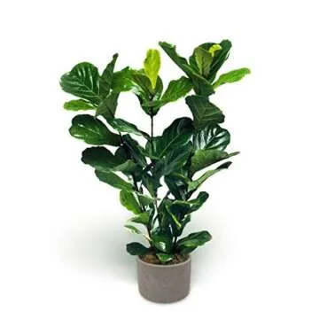 Elly Décor Set of 2, 5 and 4 inch Round Cylinder Ceramic Planters for Plants with Drainage Hole Clay and Terracotta Small 5&4" Ceramic Pot, Gray