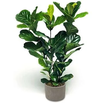 Elly Décor Set of 2, 5 and 4 inch Round Cylinder Ceramic Planters for Plants with Drainage Hole Clay and Terracotta Small 5&4" Ceramic Pot, Gray