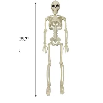 16" Posable Halloween Skeleton - Indoor/Outdoor Decor