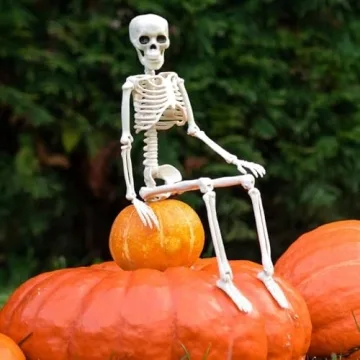 16" Posable Halloween Skeleton - Indoor/Outdoor Decor