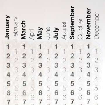 2023 Bubble Wrap® Calendar for Daily Pop Fun