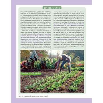 Homegrown Vegetables, Fruits, and Herbs: A Bountiful, Healthful Garden for Lean Times (Creative Homeowner) Expert Gardening Advice: Reduce Costs, Save Time, & Grow Safe, Delicious Food for Your Family