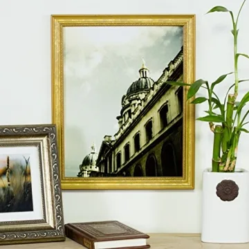 Elegant Craig Frames 314GD Gold Picture Frame 16x20