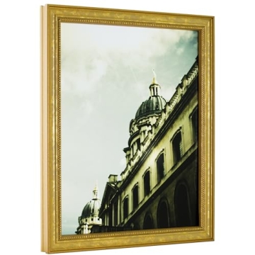 Elegant Craig Frames 314GD Gold Picture Frame 16x20