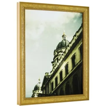 Elegant Craig Frames 314GD Gold Picture Frame 16x20