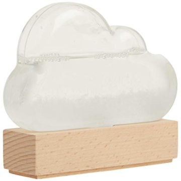 Storm Cloud: The Ultimate Weather Prediction Gadget for Everyone