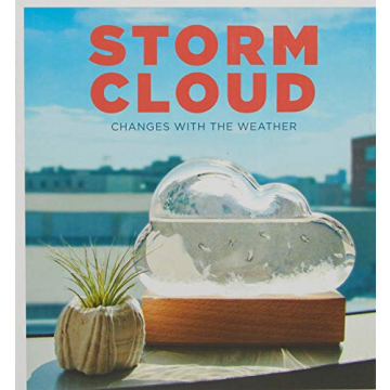 Storm Cloud Weather Predicting Instrument for All Ages