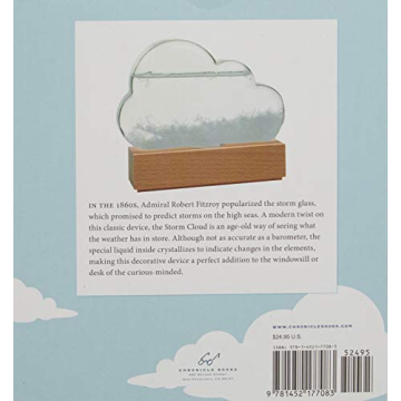 Storm Cloud Weather Predicting Instrument for All Ages