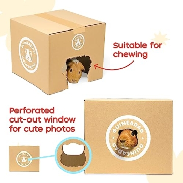 GuineaDad Crunchy Condo Hideout | Safe Chewable Fun for Guinea Pigs