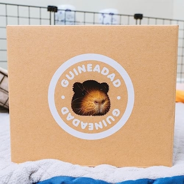 GuineaDad Crunchy Condo Hideout | Safe Chewable Fun for Guinea Pigs