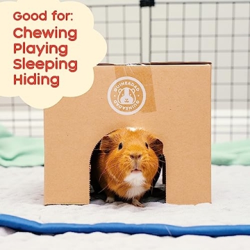 GuineaDad Crunchy Condo Hideout | Safe Chewable Fun for Guinea Pigs