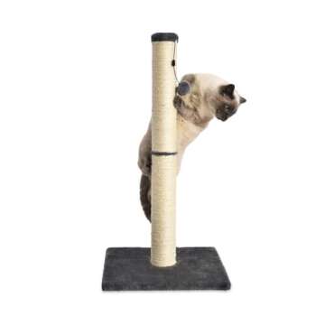 Amazon Basics Cat Scratching Post, Medium, 15.75" x 15.75" x 31.5"H, Grey
