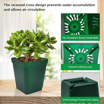 RooTrimmer Square Nursery Succulent Pots 4 Inches 60 Pcs Deep Flower Plant Nursery Seedling Grow Pots Plastic with Drainage (Green, 4Inches, 60Pcs)