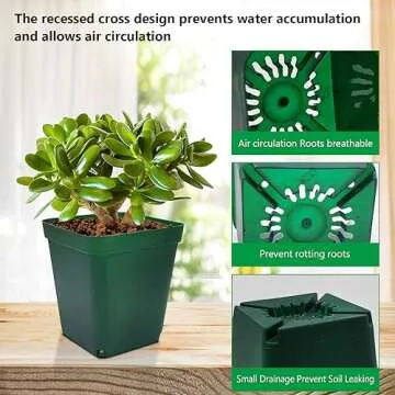 RooTrimmer Square Succulent Pots 4 Inches 60 Pcs