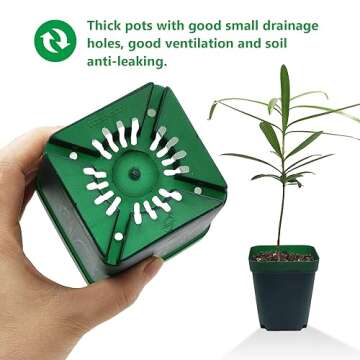 RooTrimmer Square Nursery Succulent Pots 4 Inches 60 Pcs Deep Flower Plant Nursery Seedling Grow Pots Plastic with Drainage (Green, 4Inches, 60Pcs)