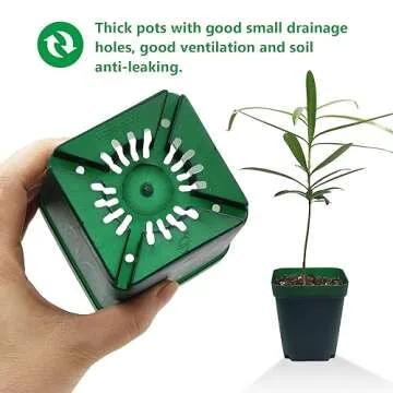 RooTrimmer Square Succulent Pots 4 Inches 60 Pcs