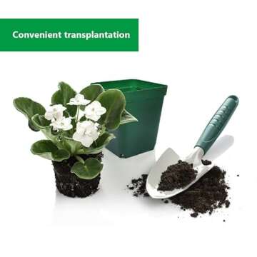 RooTrimmer Square Nursery Succulent Pots 4 Inches 60 Pcs Deep Flower Plant Nursery Seedling Grow Pots Plastic with Drainage (Green, 4Inches, 60Pcs)