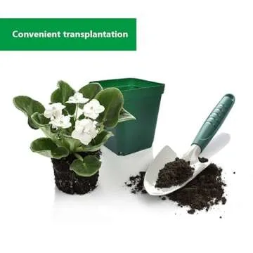 RooTrimmer Square Succulent Pots 4 Inches 60 Pcs