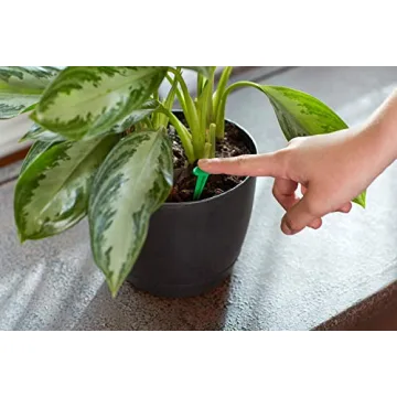 Miracle-Gro Indoor Plant Food Spikes for Lush Houseplants