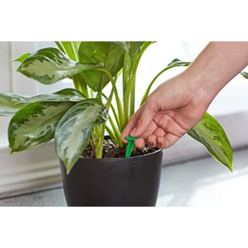 Miracle-Gro Indoor Plant Food Spikes for Lush Houseplants