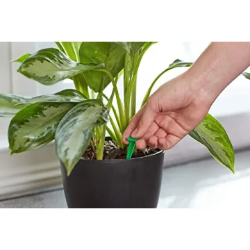 Miracle-Gro Indoor Plant Food Spikes for Lush Houseplants