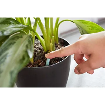 Miracle-Gro Indoor Plant Food Spikes for Lush Houseplants