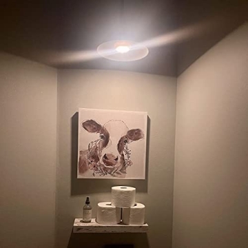 ANUOMY Wireless Battery Powered Light Bulbs with Remote