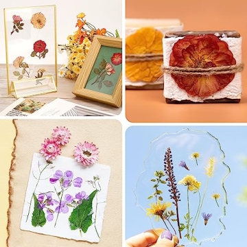 Aboofx Extra Large Flower Press Kit for Plant Lovers