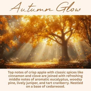 Wickless Candles for Safe Aromatic Home Experience