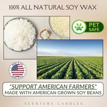 Wickless Candles for Safe Aromatic Home Experience