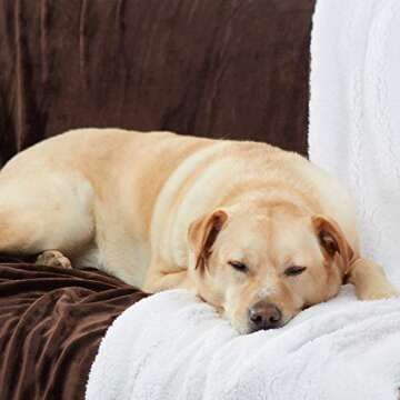 Genteele Sherpa Throw Blanket Super Soft Reversible Ultra Luxurious Plush Blanket, 50 x 60 inches, Brown/White