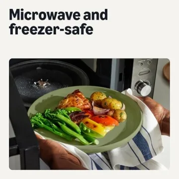 Amazon Basics 4-Piece Stoneware Dinner Plate Set