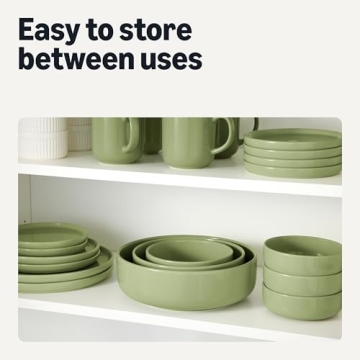 Amazon Basics 4-Piece Stoneware Dinner Plate Set