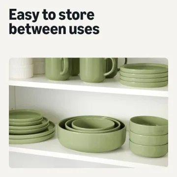 Amazon Basics 4-Piece Stoneware Dinner Plate Set