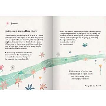 Little Book of Mindfulness for Daily Peace and Calm