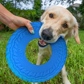 Nerf Dog Rubber Tire Flyer Disc for Endless Fun