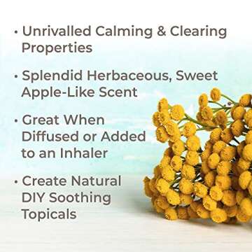 Plant Therapy Organic Blue Tansy Essential Oil 100% Pure, Undiluted, Natural Aromatherapy, Therapeut...