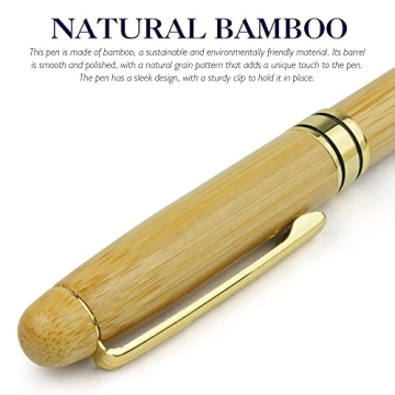 STONEGO Eco-Friendly Bamboo Fountain Pen for Gift Writing