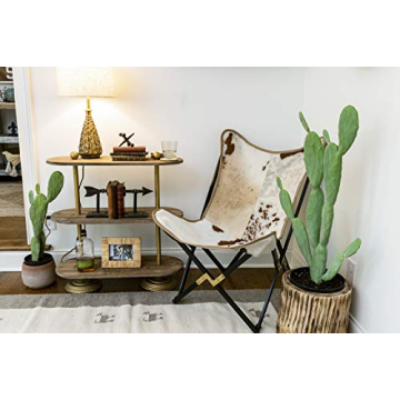 Creative Co-Op Handwoven Rattan Frame for Photos