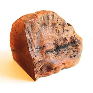 Root Chew - Medium | Premium Dental Chew for Dogs