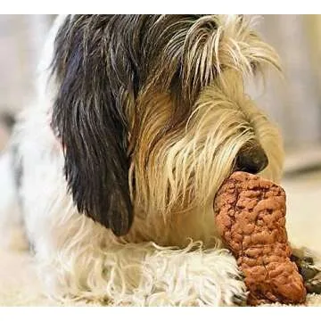 Root Chew - Medium | Premium Dental Chew for Dogs