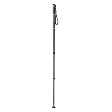 Gitzo GM2542 Traveler Photography Monopod - Carbon Fibre & 30 Kg Capacity