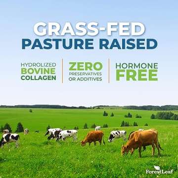 ForestLeaf Multi Collagen Pills with Hyaluronic Acid + Vitamin C | Hydrolyzed Collagen Supplements for Women or Men | Multi Collagen Capsules Peptides for Skin, Wrinkles, 120 Caps